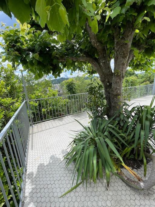 Paisible Eden Standing Terrasse - Magnifique Vue - Esprit Nature En Pleine Ville チュール エクステリア 写真