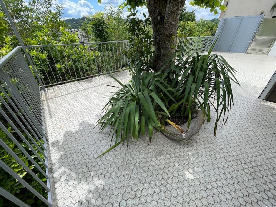 Paisible Eden Standing Terrasse - Magnifique Vue - Esprit Nature En Pleine Ville チュール エクステリア 写真